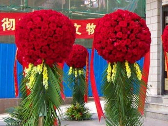 廣州白云區剪彩禮儀用品與開業花籃服務 花卉綠植租借全解析